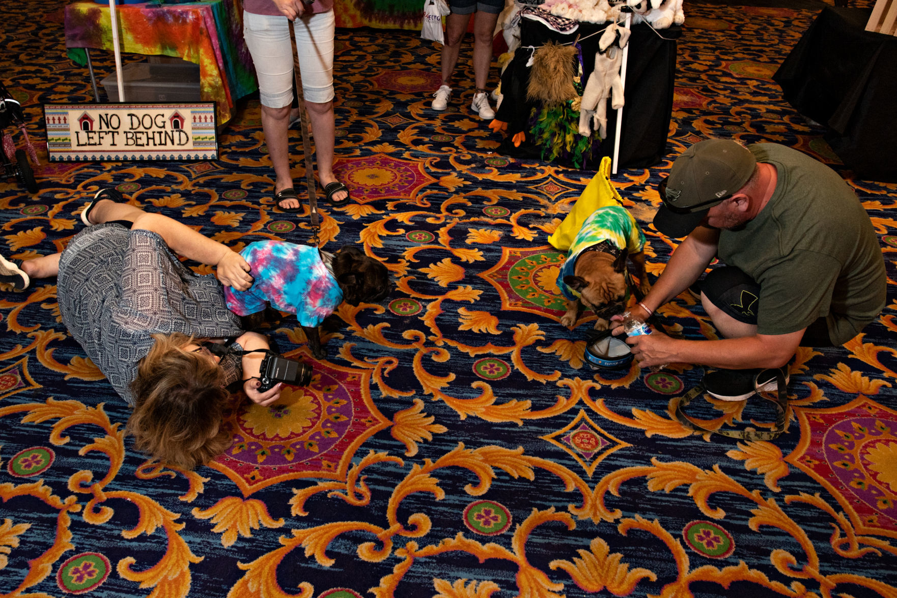 080419_nws_woofstock